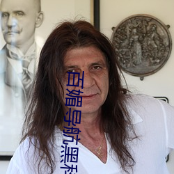 百媚(媚)导(導)航黑(黑)科技(技)