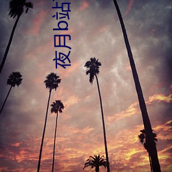 夜月b站下載