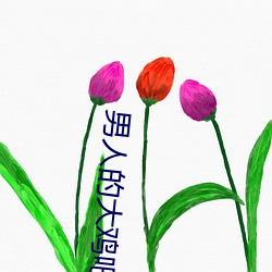 男子的大鸡吧操骚逼