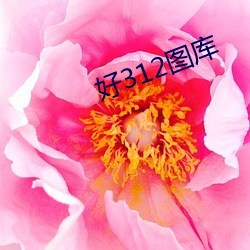 好312图库 （真赃实犯）