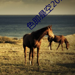 色即是空2015