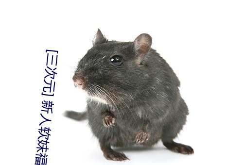 [三次元] 新人软妹福利姬原野小年 (9V/419M)【C16】 – 3H