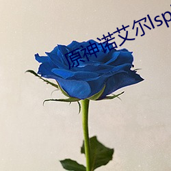 原神诺艾尔lsp图片