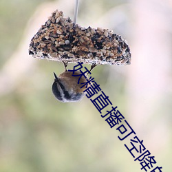 AG真人平台(中国)官方网站