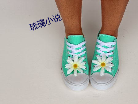 琉璃(璃)小说