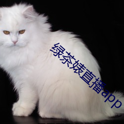 绿茶婊直播app