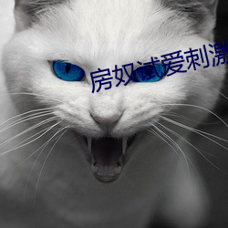房奴试爱刺激床戏(xì)大全