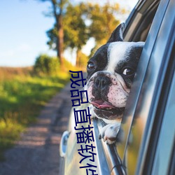 成(成)品直(直)播(播)软件
