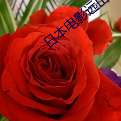 尊龙凯时·(中国)官方网站