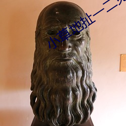 小草地扯一二免费观看
