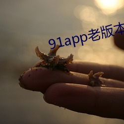 91app老版本