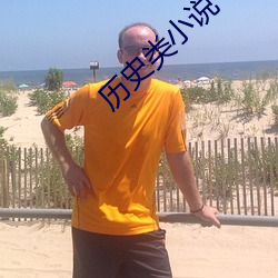 历史(史)类小(小)说(說)