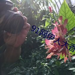 BG大游(中国)唯一官方网站