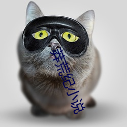 莽荒(荒)纪小说