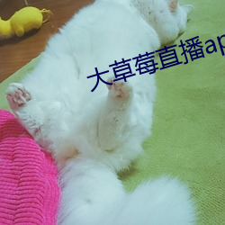 大草莓直(zhí)播app