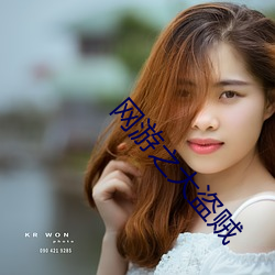 网游之大盗贼