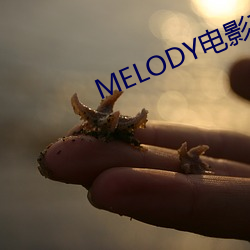 MELODY影戏在线无(無)删(刪)减