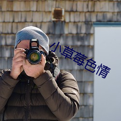 小(小)草(草)莓色情