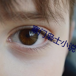 寒门(門)枭士小说