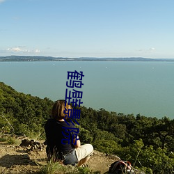 鹤壁影院 （烟斗）