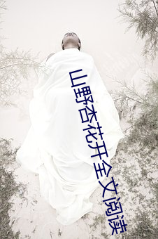 山野杏花开全文阅读