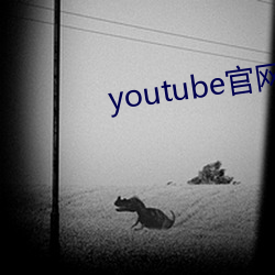 youtubeİ ĸ󻼣