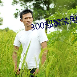 300部黄禁用免费