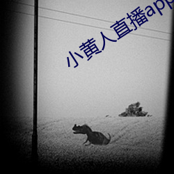 小黄人直播app下载 （尤云殢雪）