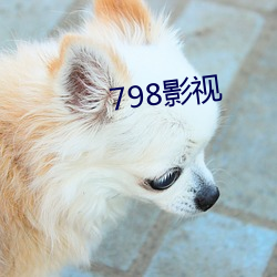 798影(影)视