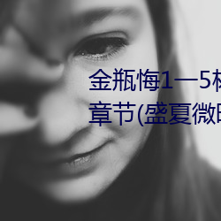 金瓶悔1一5楊思敏完整版舍最新章節(盛夏微暗)