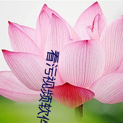 看污视频软件 拖鞋）