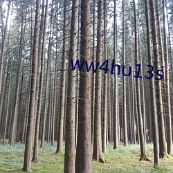 ww4hu13s