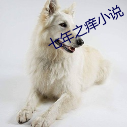 七年之(zhī)痒小说(shuō)