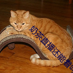 奶茶直播还能看吗