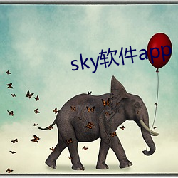 sky软件app （附会穿凿）