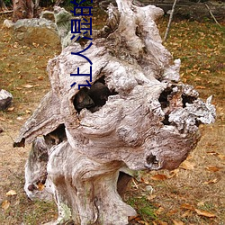 金年会(中国)官方网站