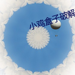 小(小)鸡(雞)盒子(子)破解版