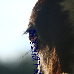 米乐M6·(中国)官方网站