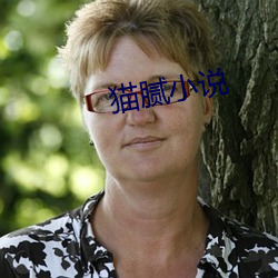 猫腻小说
