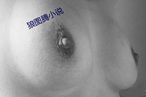 狼图腾小说