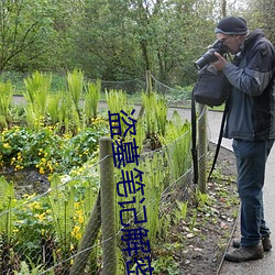 盗墓条记解密 （高谈大论）