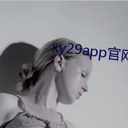 xy29app官网入口(kǒu)