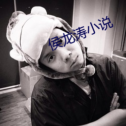 侯(侯)龙(龍)涛小(小)说
