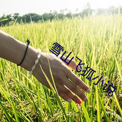 金年会(中国)官方网站