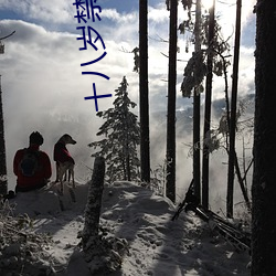 十八岁禁下载