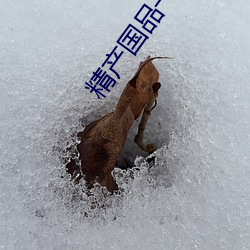 精産國品一區