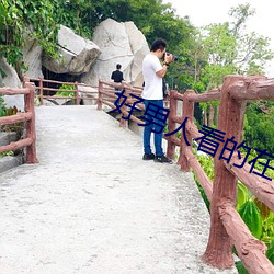 好男人看的在线www视频二