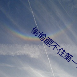 偷偷藏不住第一次车