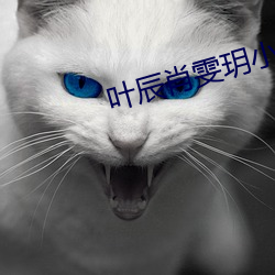 叶辰肖雯玥小说