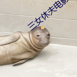 三女休夫电影
